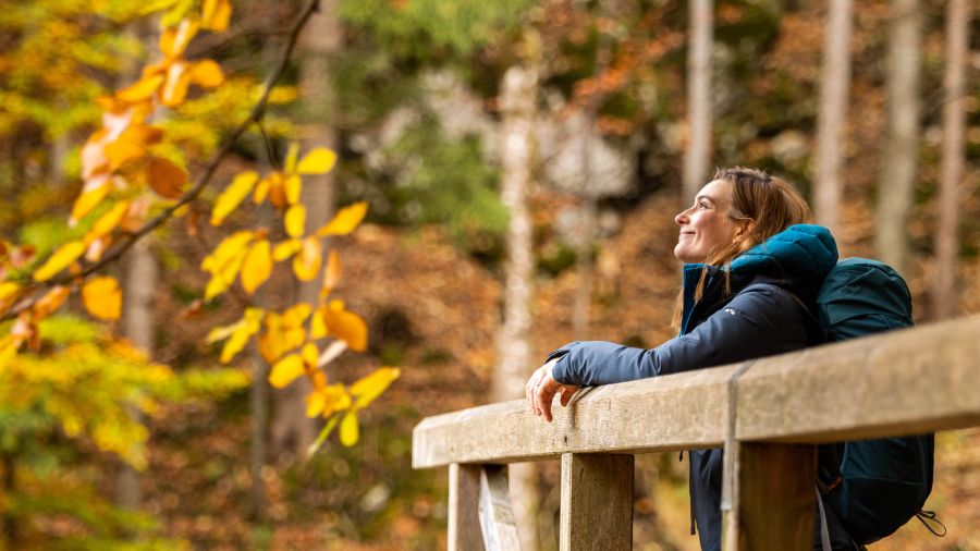Frau Steht auf einer Brücke in einem Wald; Herbstlaub gelb-orange