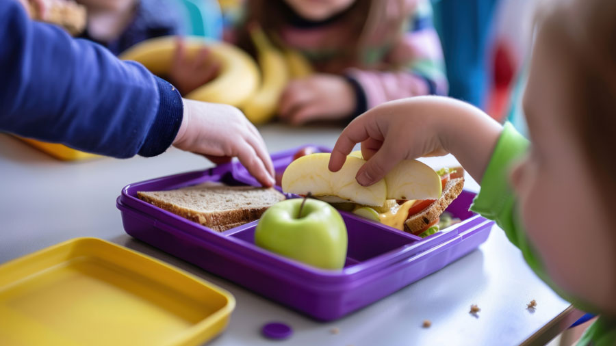 Kinder greifen in eine Brotbox, die mit belegtem Brot und Apfel gefüllt ist. 