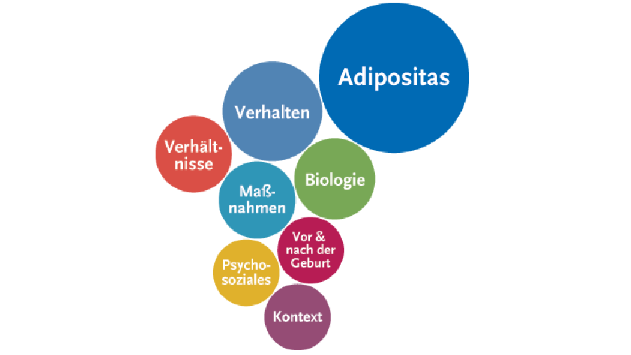 Verschieden große, farbige Kreise mit Schlüsselbegriffen der AdiMon-Studie wie Adipositas, Biologie und Verhalten