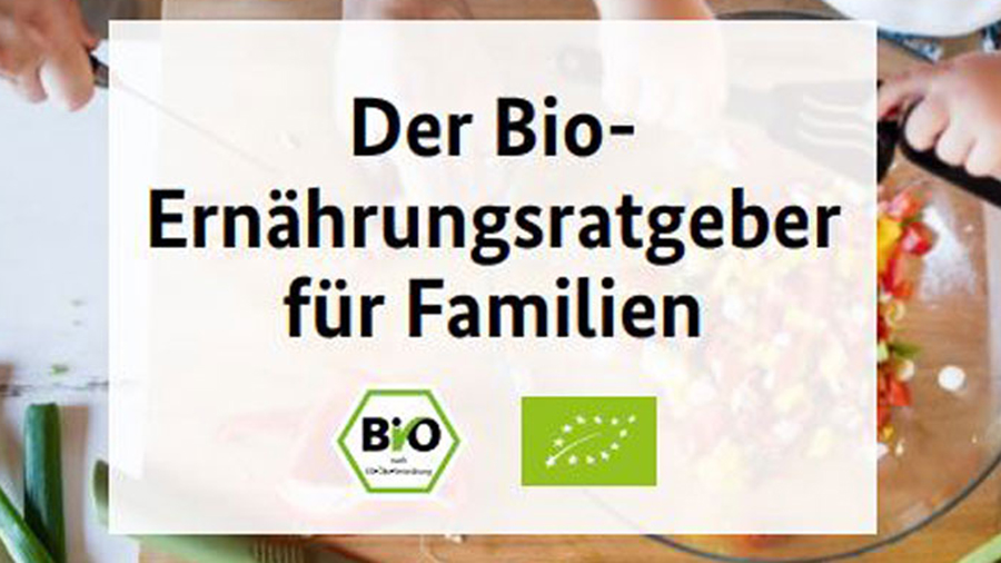 Cover der Broschüre Ernährungsratgeber für Familien