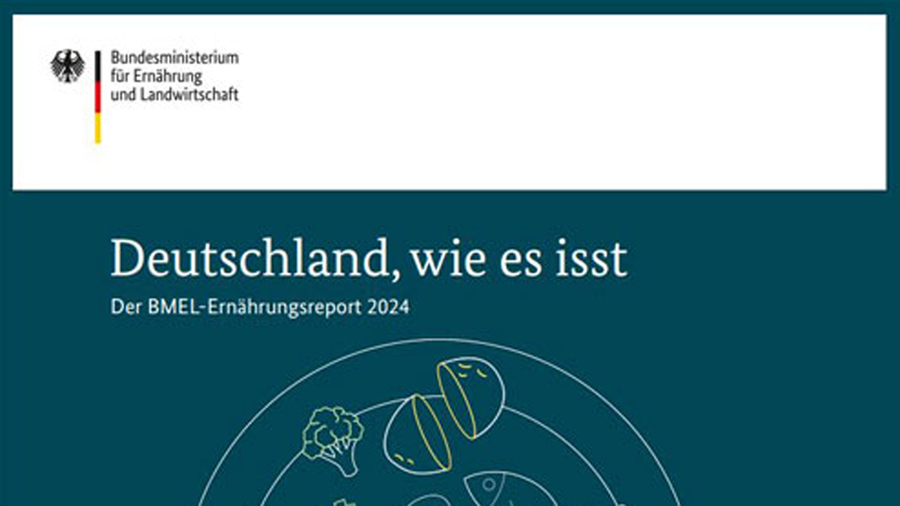 Cover vom Ernährugnsreport 2024 "Deutschland wie es isst", blauer Hintergrund mit einfacher Zeichung von 2 Händen die einen Teller mit Lebensmittel hält.