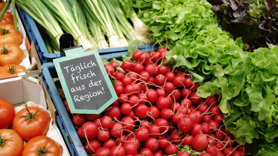 Marktstand mit Radieschen, Salat und Tomaten, dazu ein Schild "täglich frisch aus der Region"