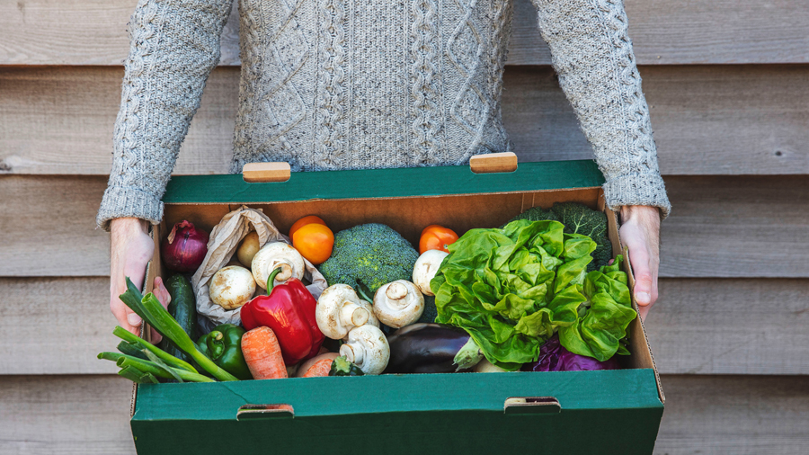Hände eines Mannes tragen eine Kiste mit verschiedenen Gemüsearten vor sich her
