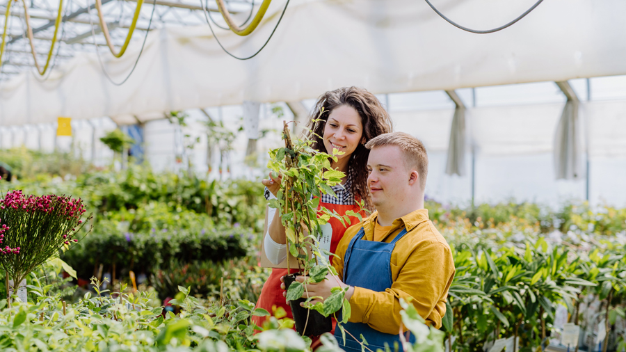 Frau und junger Mann mit Down-Syndrom in einem Gewächshaus