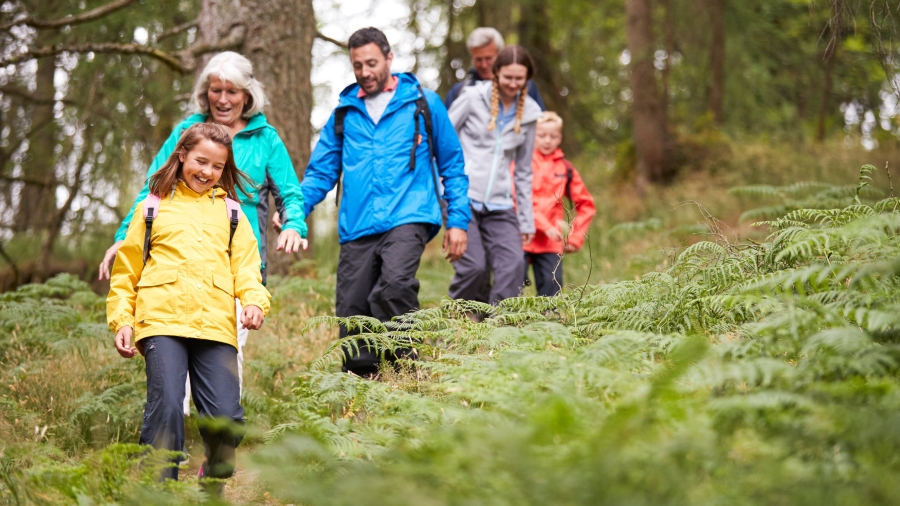 Zwei Kinder und drei Erwachsene beim Waldspaziergang