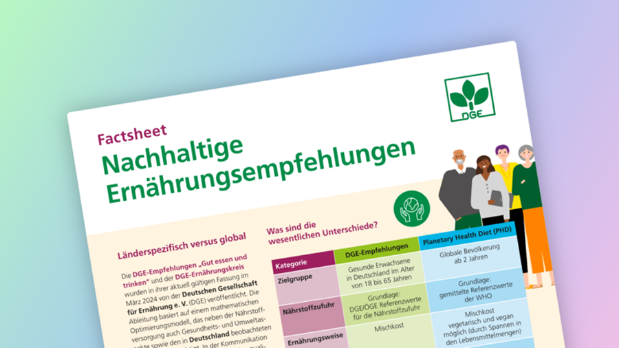 Ausschnitt aus dem Faktenblatt vor buntem Hintergrund