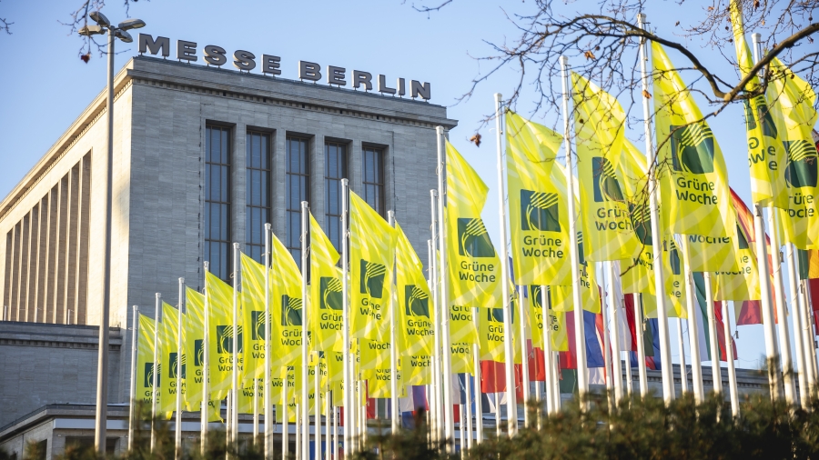 Gebäude Messe Berlin mit Fahnen zur Grünen Woche
