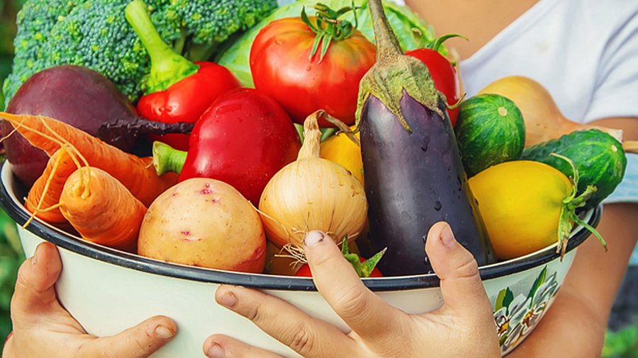 Hände eines Kindes halten Schüssel mit verschiedenen Gemüsesorten