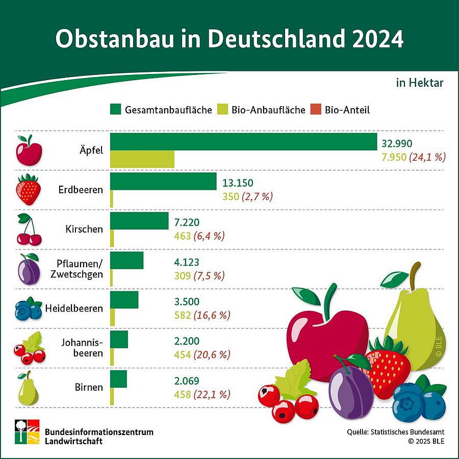 Infografik zum Obstanbau. Erläuterung siehe Tabelle im Text.