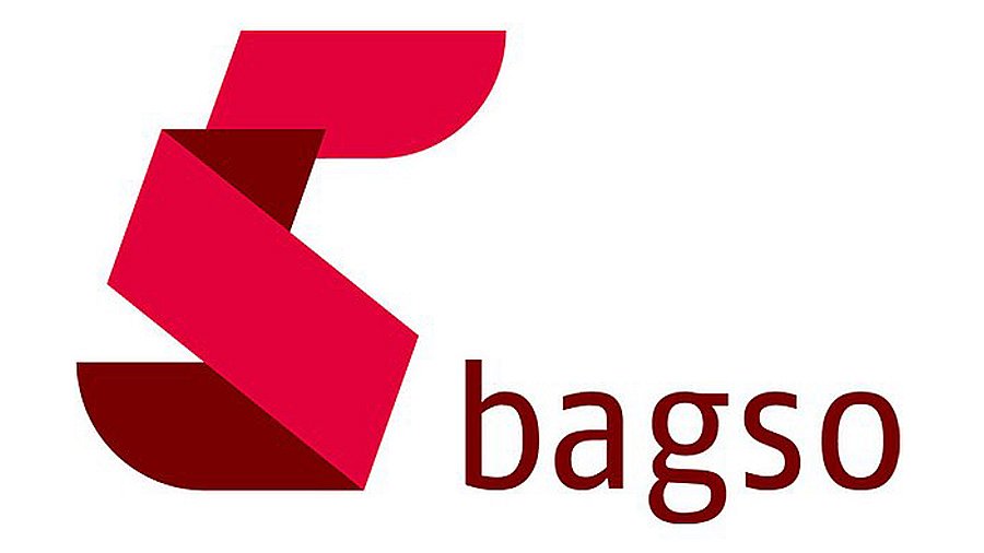 Schriftzug BAGSO in rot mit roten Band