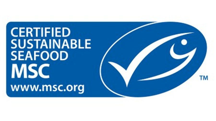 Das MSC-Siegel im Querformat.