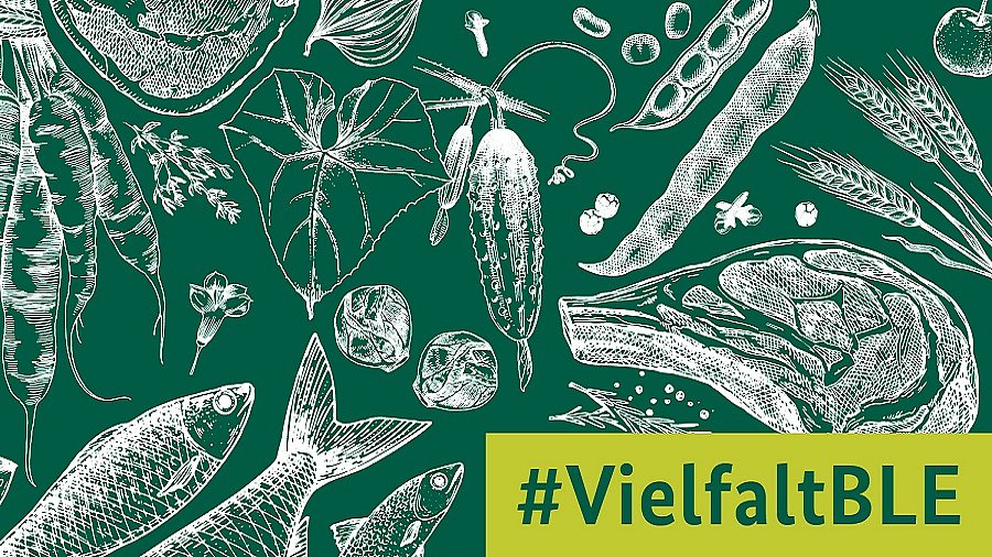 Fische, Brote etc. in weißer Zeichnung auf grünem Hintergrund.