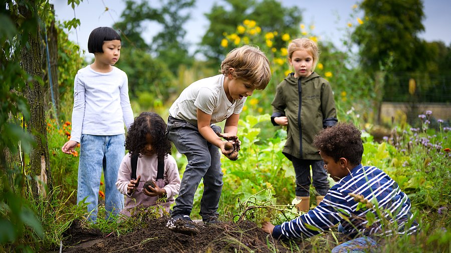 Fünf Kinder befinden sich auf einem Acker. Ein Kind erntet Kartoffeln.