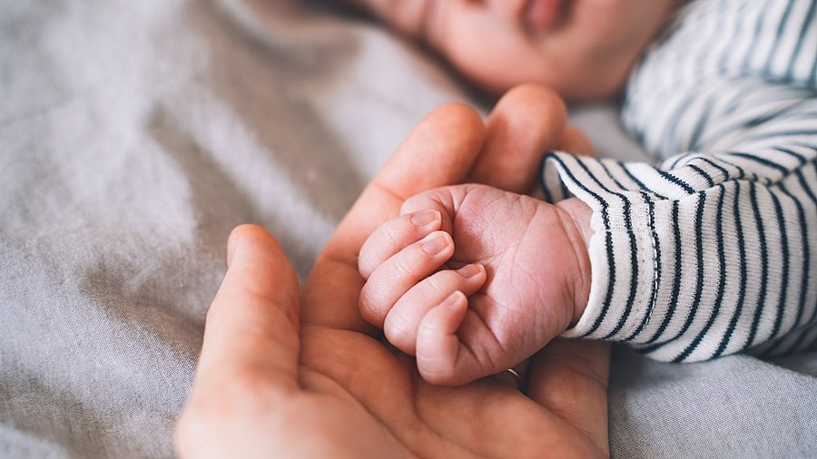 Hand eines Neugeborenen liegt in der Hand eines Elternteils.